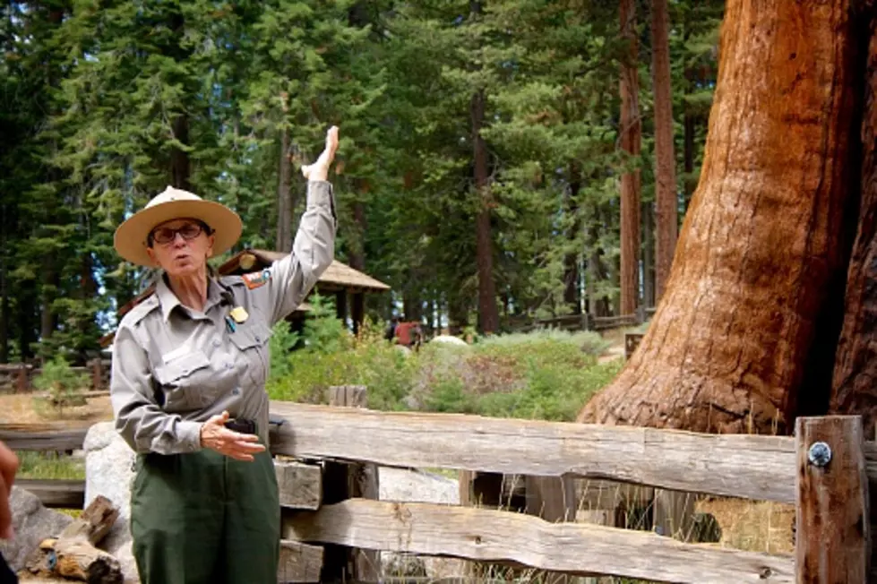 Get Paid to Protect This Beautiful 100-Acre Park