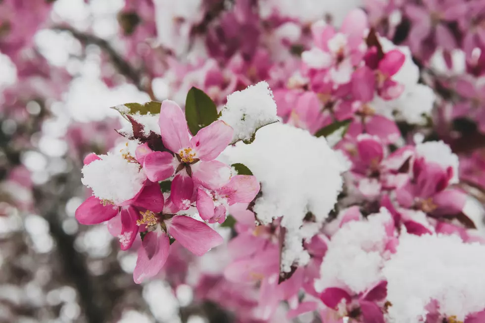 Parts of Michigan Could See Rain Turn to Snow