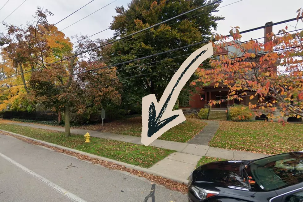 Can You Plant or Decorate Your Parkway? Grand Rapids Has Answers