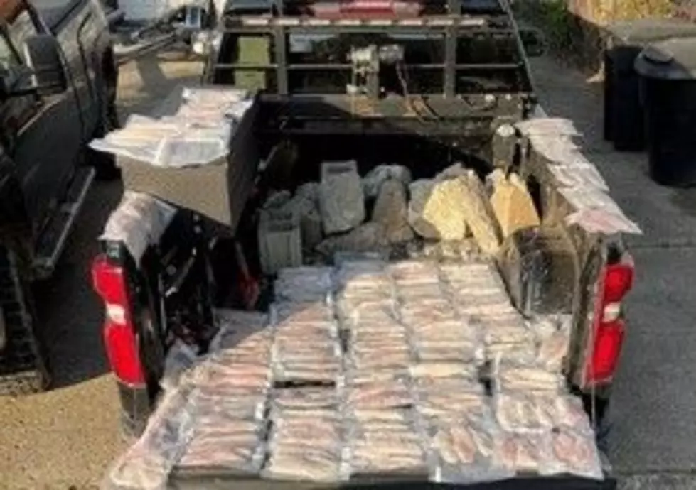 Illegal Walleye Haul Found on Detroit River