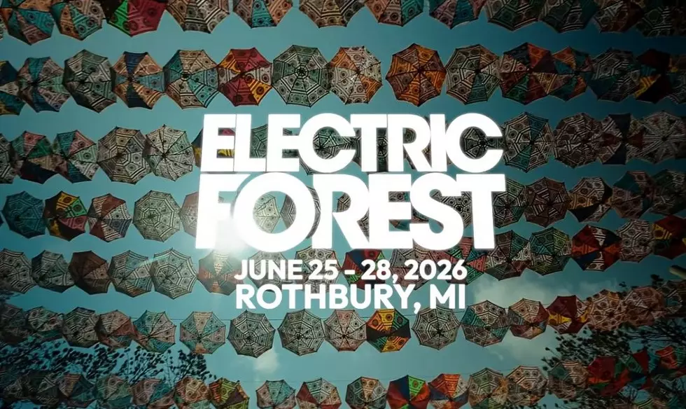 Electric Forest Security Rules: What to Pack