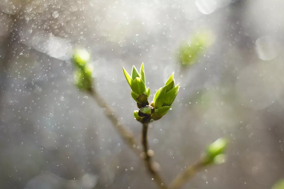 Snow In May? This Is The Last Time It Happened In Grand Rapids