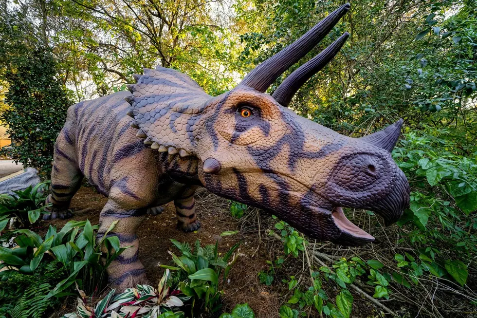 Giant Dinosaurs Are Taking Over This Michigan Garden This Summer