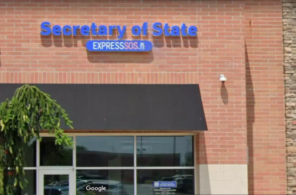 Michigan Lawmaker Wants You To Stop Selling Secretary Of State Appointments Online