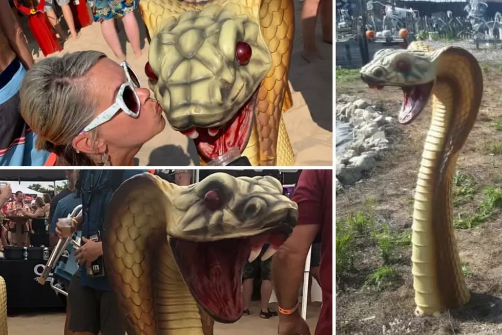 Snake Sculpture Head Stolen From Burning Foot Beer Festival In Muskegon