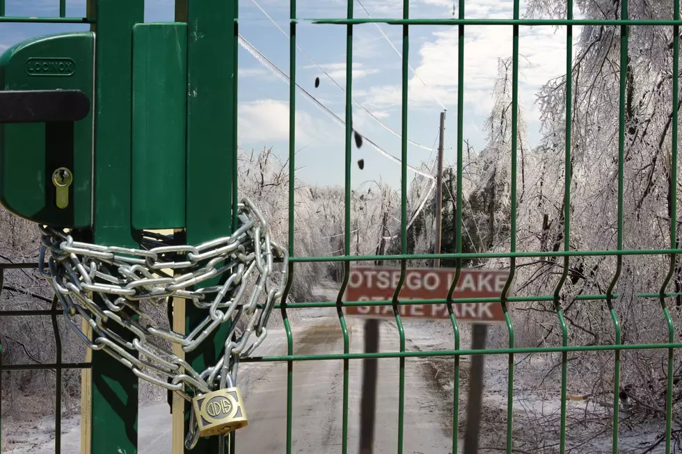 Over a Dozen State Parks & Trails Closed Indefinitely in Northern Michigan
