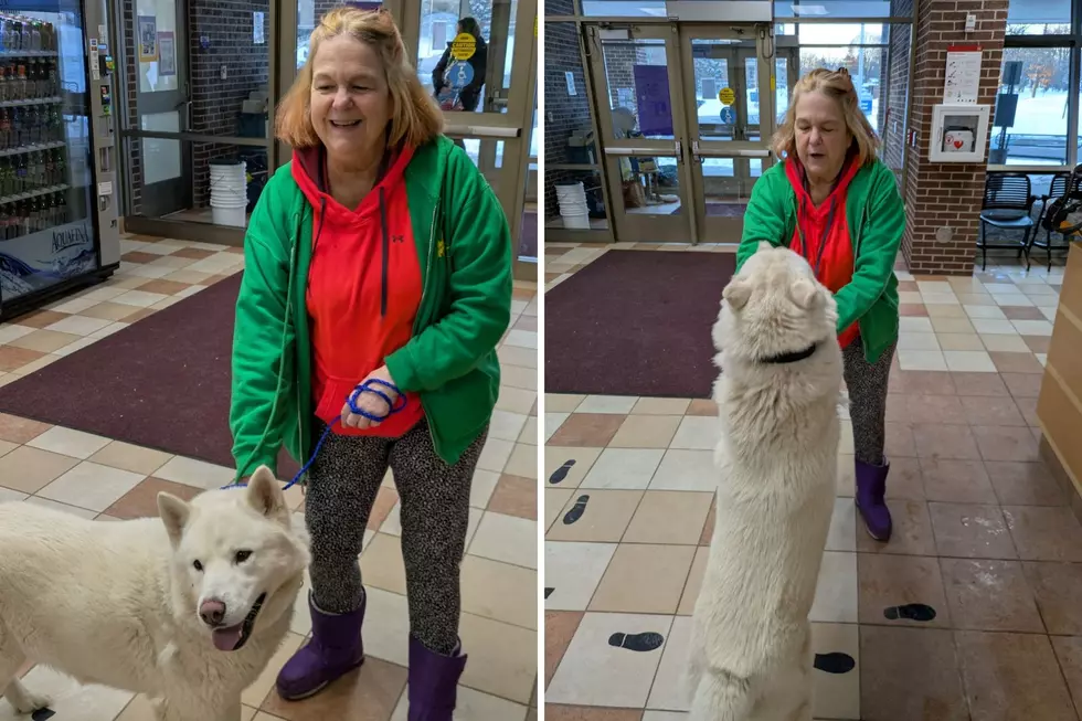 Northern Michigan Dog Found in Kent County Reunited With Owner Thanks to One Simple Thing