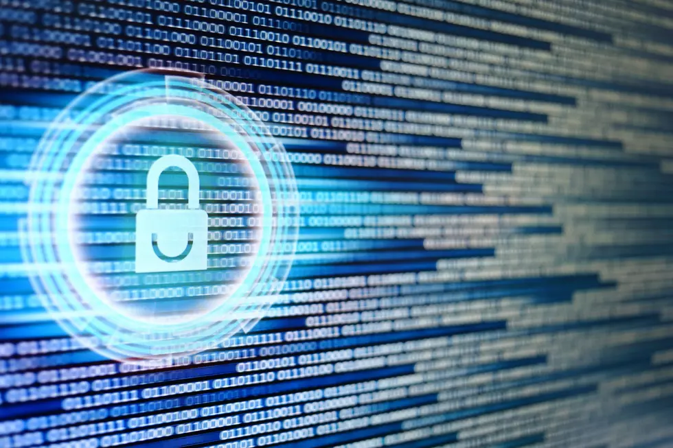 Wyze Camera Data Breach Affects 2.4 Million, Includes Alexa Info