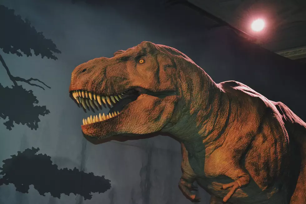 WATCH: A Colossal Dinosaur On Lake Michigan