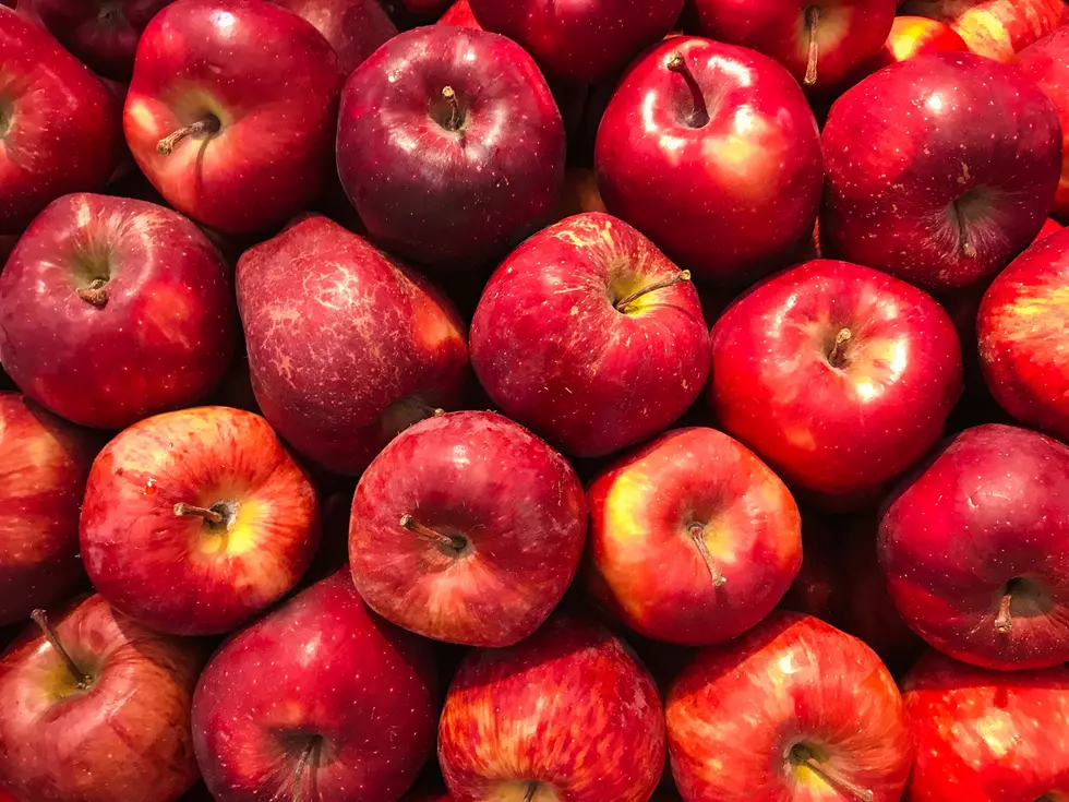 7 West Michigan Spots To Bite Into A Warm Donut And Sip Apple Cider