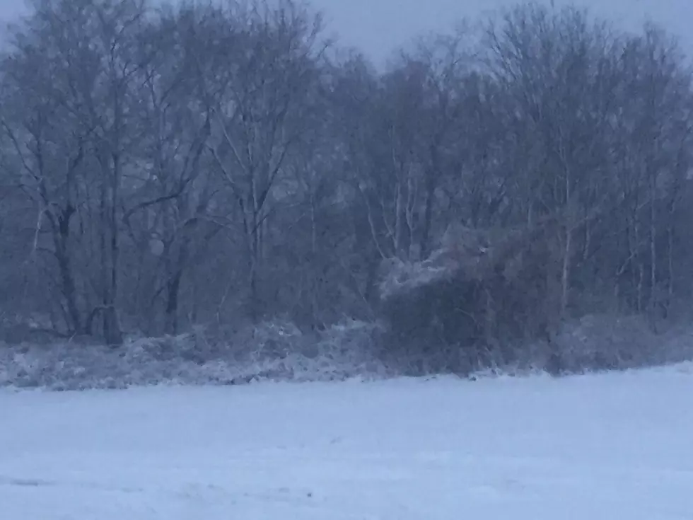 Michigan Has 4 Different Kinds of Snow, Can You Name Them?