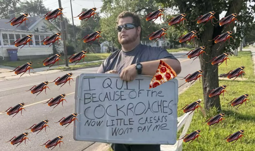 Former Alleged Manager of Grand Rapids Little Caesars Says They Have Cockroaches