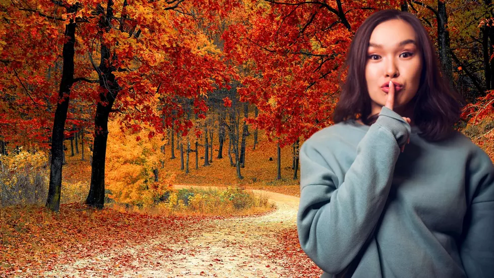 Four of Michigan's 'Less Touristy' Hidden Gems to See Fall Colors