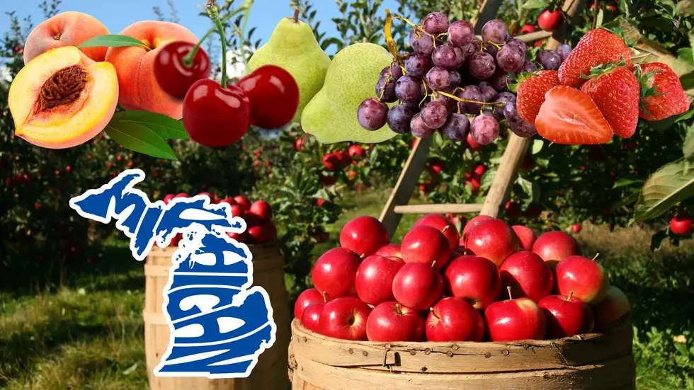 11 Fruits You May, or May Not Know Grow in Michigan's Fruit Belt