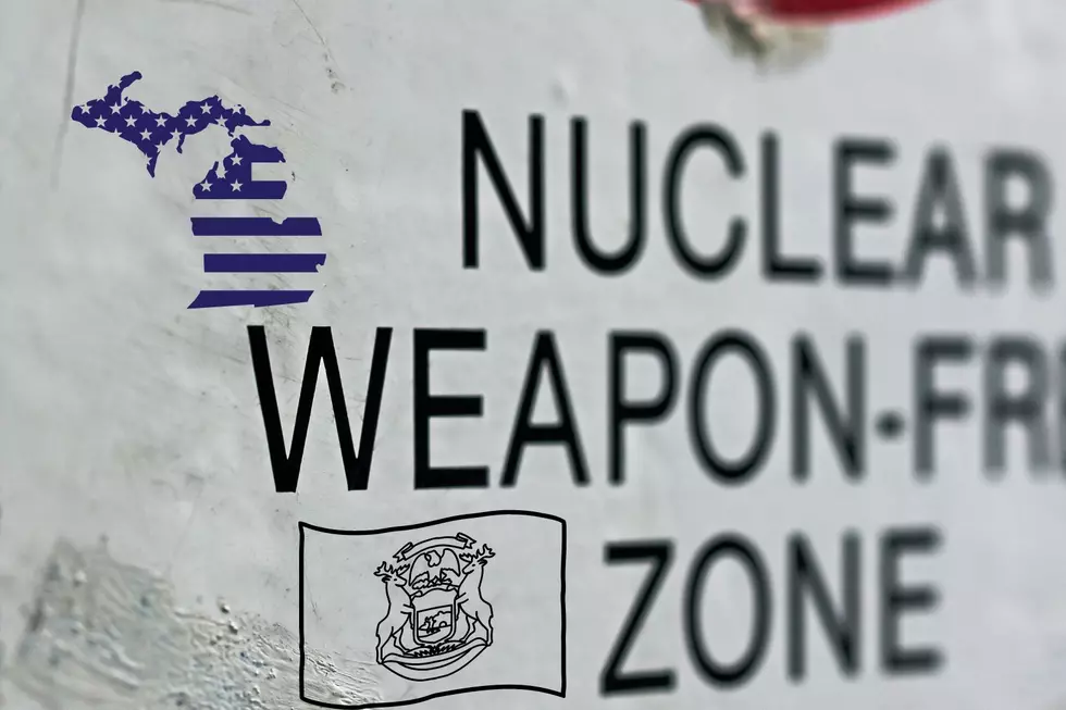 Michigan Government Forbids Ownership of These 11 Weapons