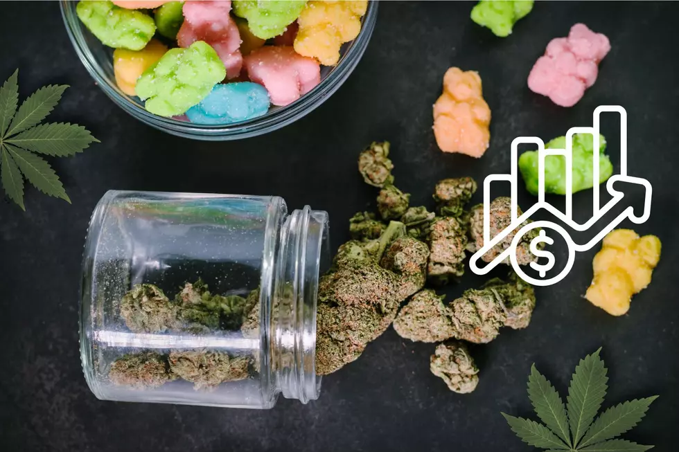 Why Michigan Is the New Marijuana Capital of the U.S.